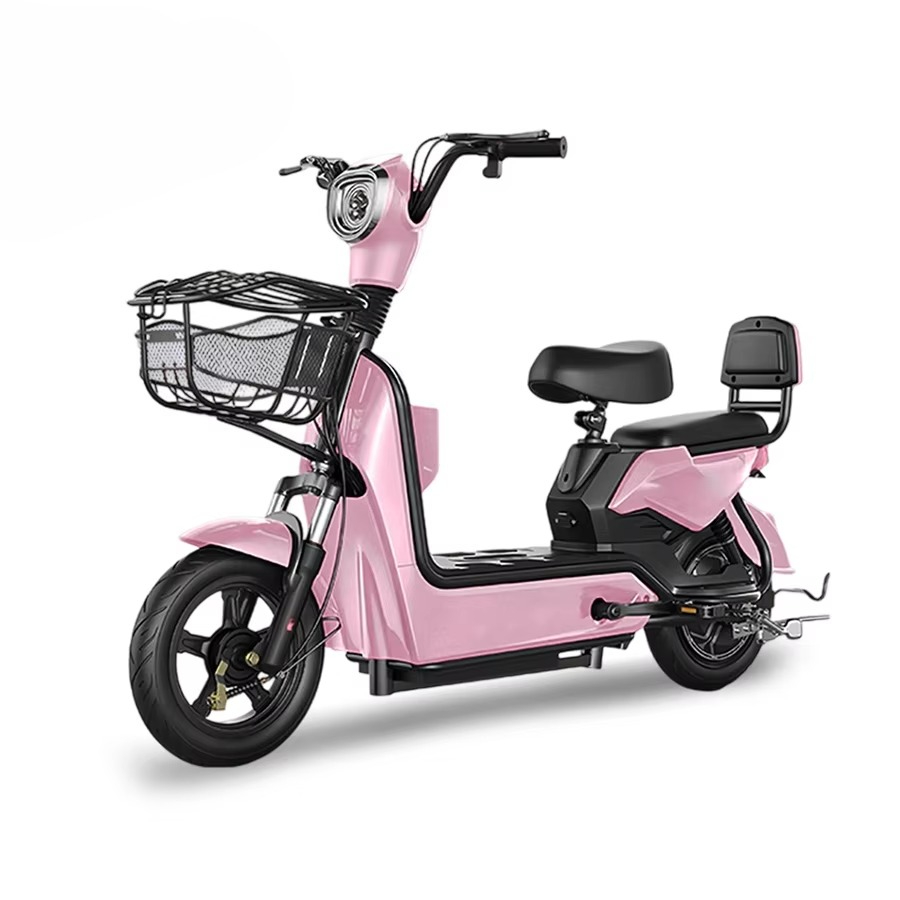 Best Price Electric City Bike  - Cycling In City review and price